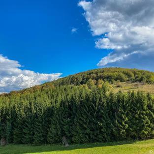 Dome Home Tents Taor Valjevo Exterior foto